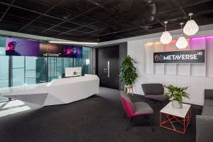 Metaverse VR reception